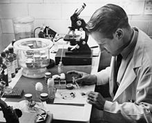 Dr. Willy Burgdorfer, an American-Swiss scientist, discovered the bacterial pathogen responsible for causing Lyme disease.