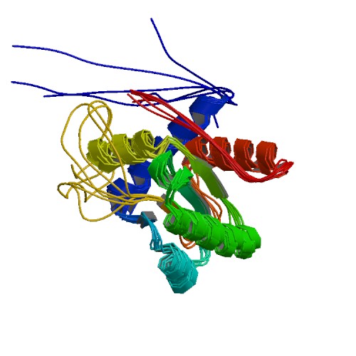 File:NMR models gadd45alpha.jpg