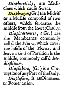 Probably the first dictionary definition of "diaphragm"