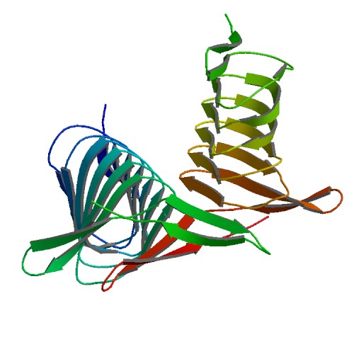 File:PBB Protein CAP1 image.jpg