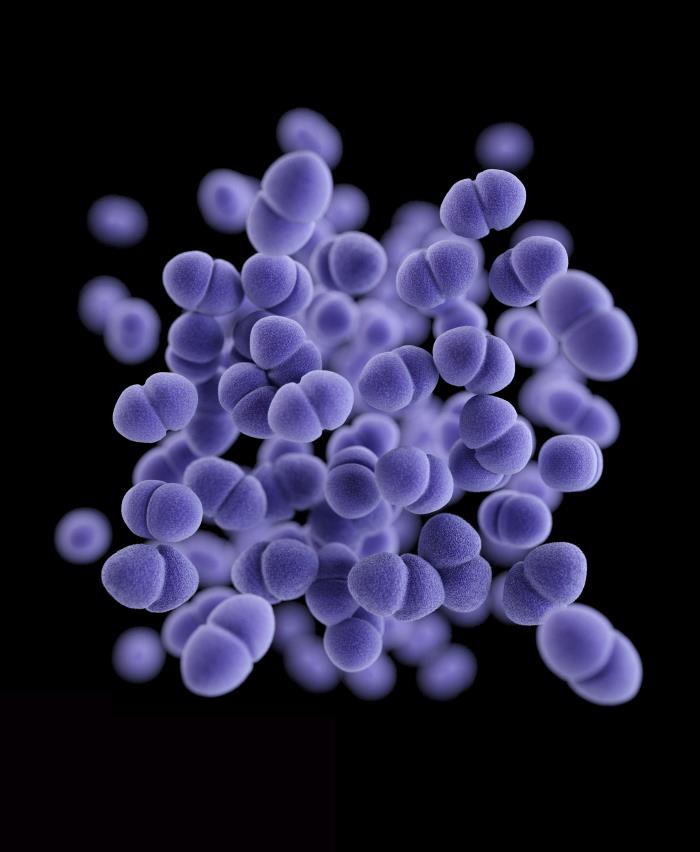 3D computer-generated image of a cluster of paired, or diplococcal vancomycin-resistant Enterococcus (VRE) bacteria. From Public Health Image Library (PHIL). [10]
