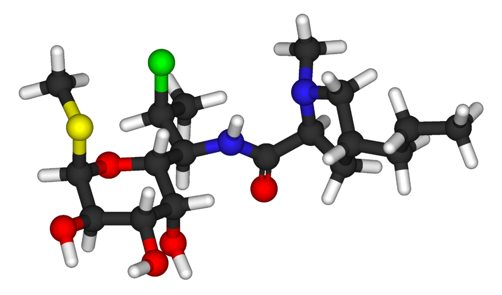 File:Clindamycin 3D 3jz0.png