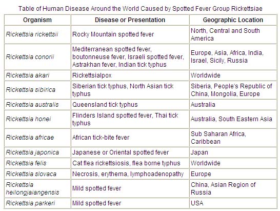 Table of Human Disease Around the World Caused by Spotted Fever Group Rickettsiae