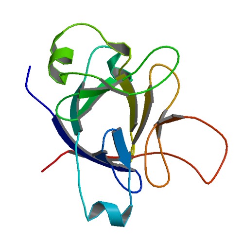 File:PBB Protein IL1F5 image.jpg