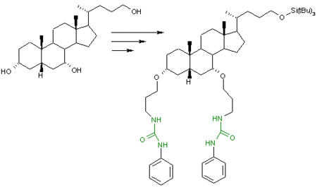 Molecular tweezer based on chenodeoxycholic acid