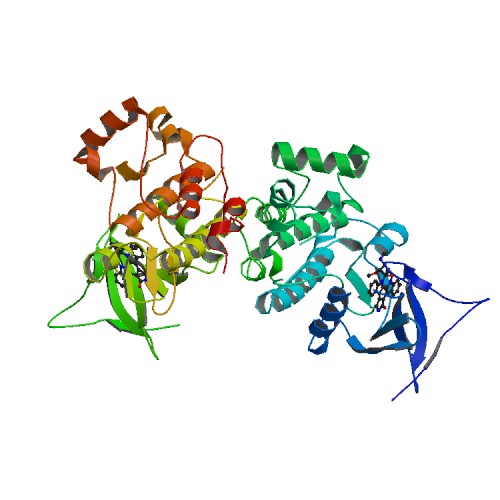 File:PBB Protein MAP3K5 image.jpg