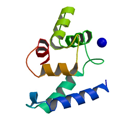 File:PBB Protein AIF1 image.jpg