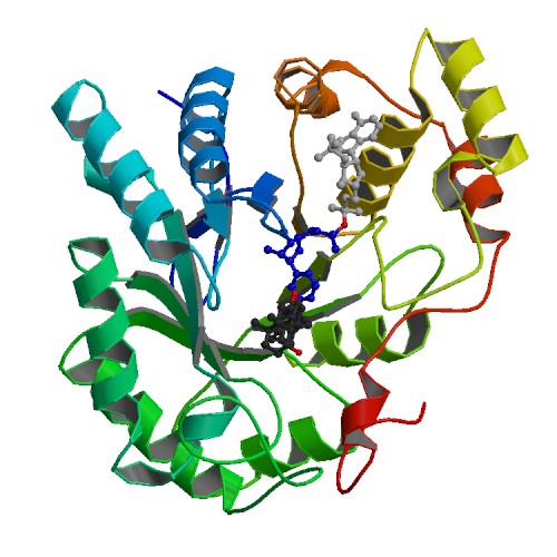 File:PBB Protein AKR1C1 image.jpg
