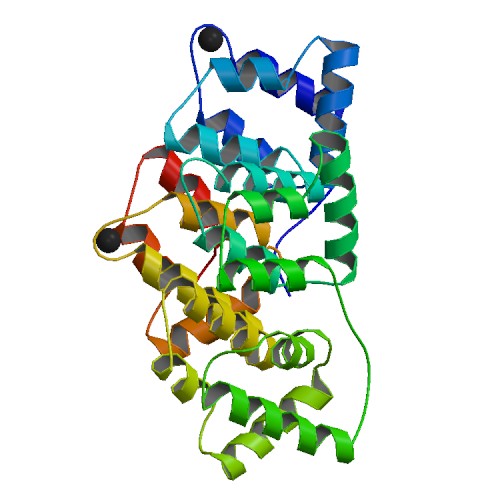 File:PBB Protein ANXA4 image.jpg