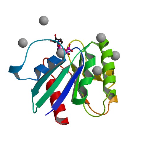 File:PBB Protein ARL6 image.jpg