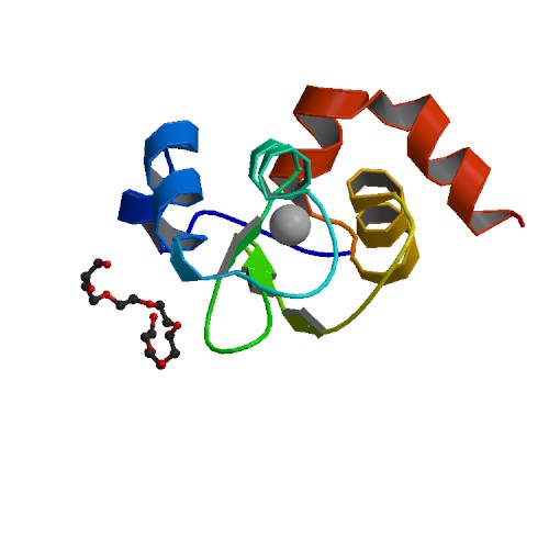 File:PBB Protein BIRC7 image.jpg