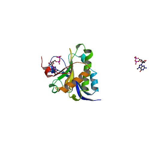 File:PBB Protein EIF4E image.jpg