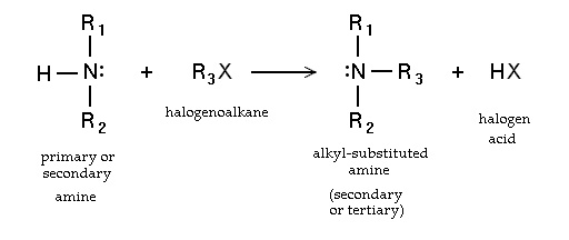 Amine alkylation