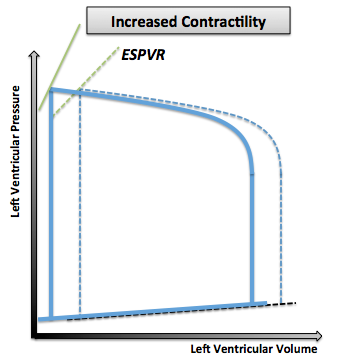 Pressure- Volume loop showing a steeper ESPVR that shifts to the left as inotropy (contractility) increases.