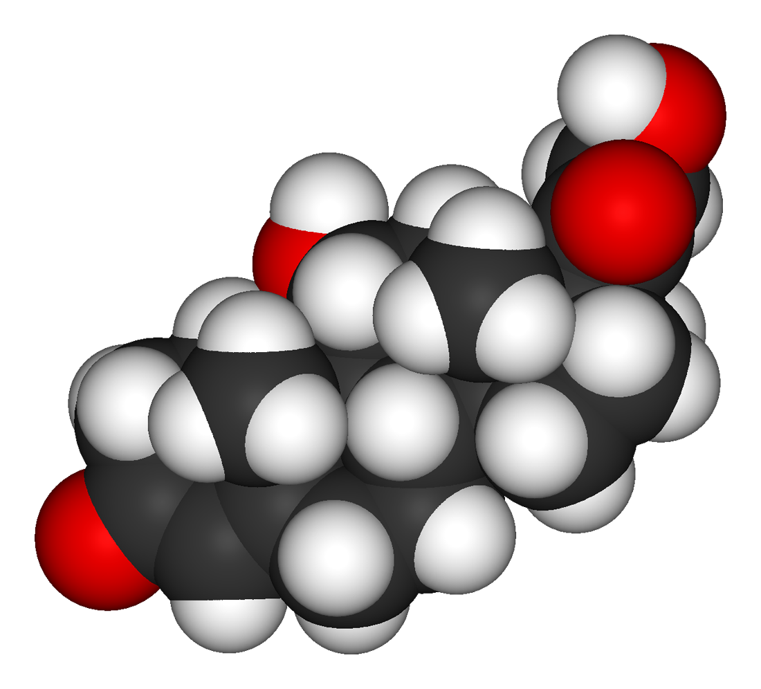 Cortisol-3D-vdW.png