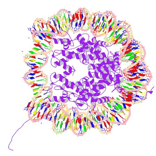 File:PBB Protein H2AFJ image.jpg