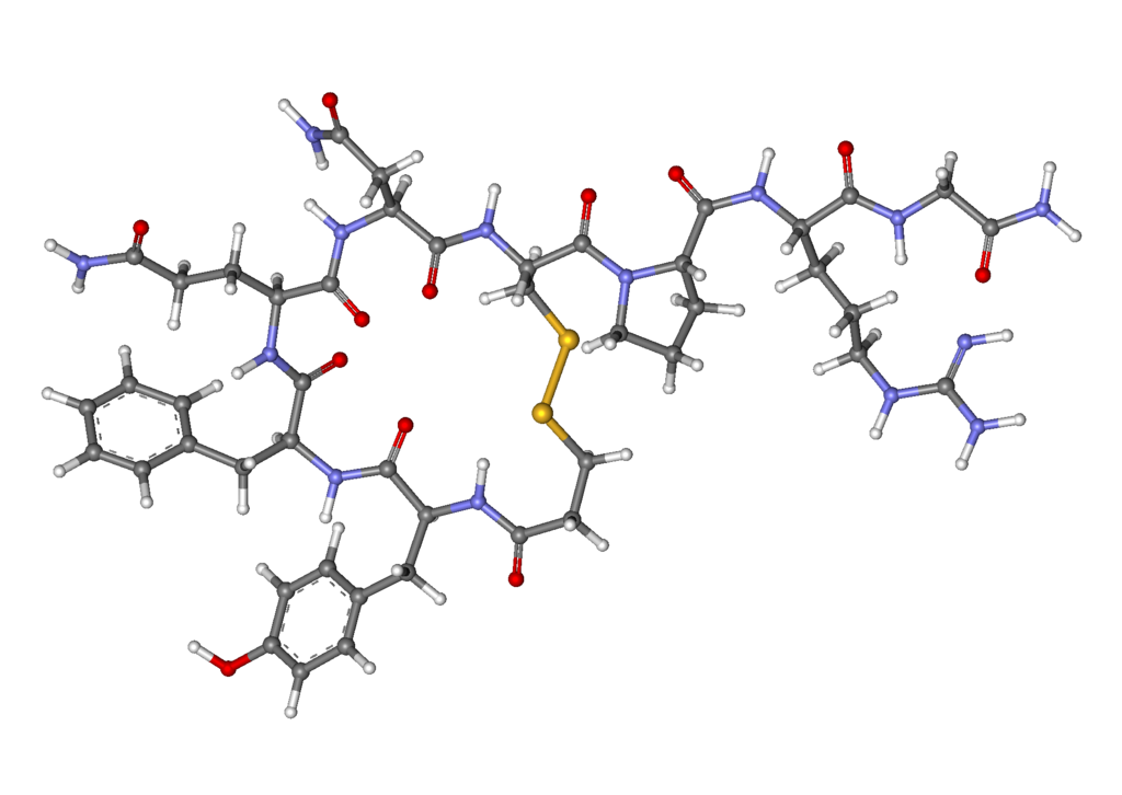 File:Desmopressin ball-and-stick.png