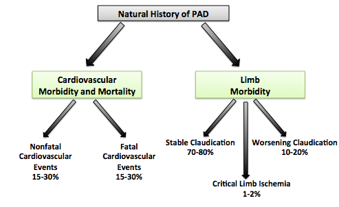Natural history of PAD
