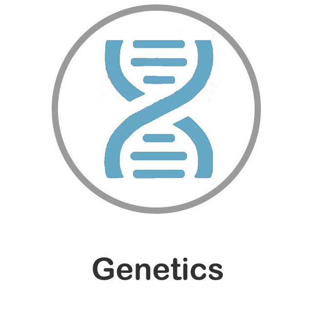 File:Genetics.jpg