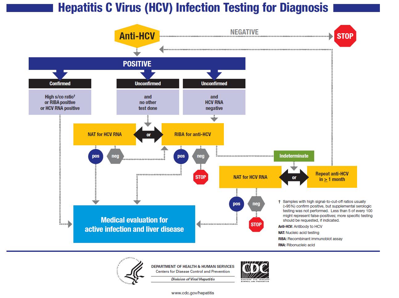 File:HCV infection diagnosis.JPG