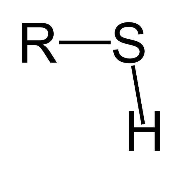 Sulfhydryl
