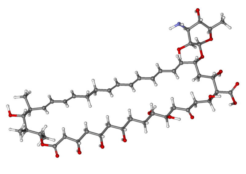 File:Nystatin ball-and-stick.png
