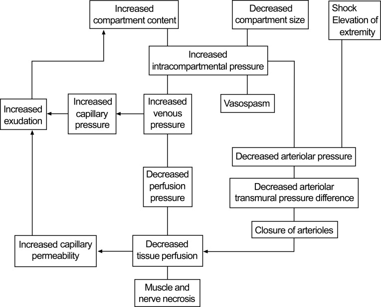 File:Pathophysiology of compartment syndrome. © 2011 American Academy of Orthopaedic Surgeons. Reprinted from the Journal of the American Academy of Orthopaedic Surgeons, Volume 19 .jpg