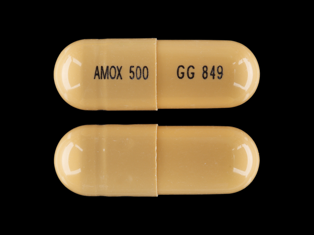 File:Amoxicillin NDC 07812613.jpg