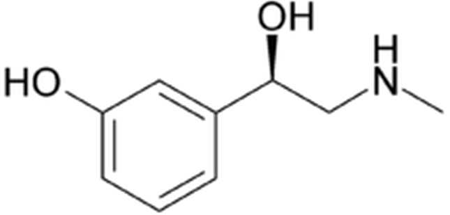 File:Phenylephrine oral structure.png