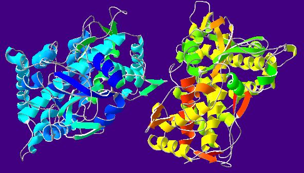 CytP450Oxidase-1OG2.png