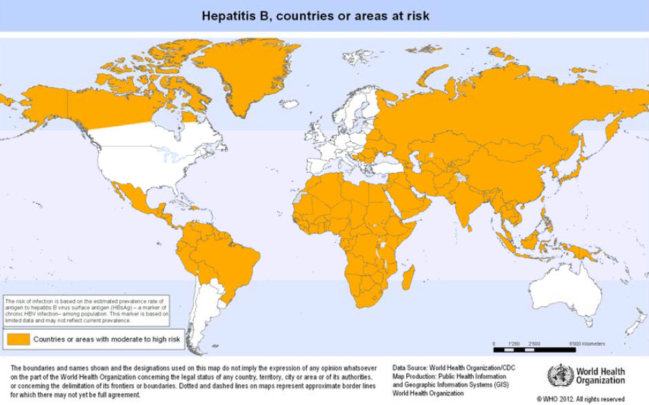 File:Hepatitis B.jpg