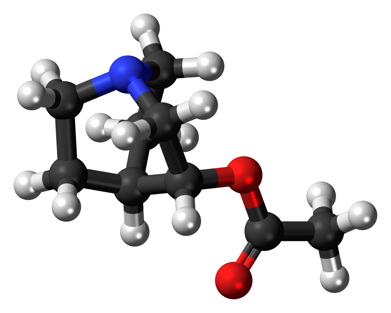 File:1280px-Aceclidine 3D ball.png