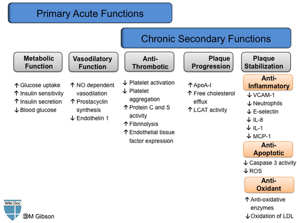 The physiologic functions of HDL in an acute and chronic setting