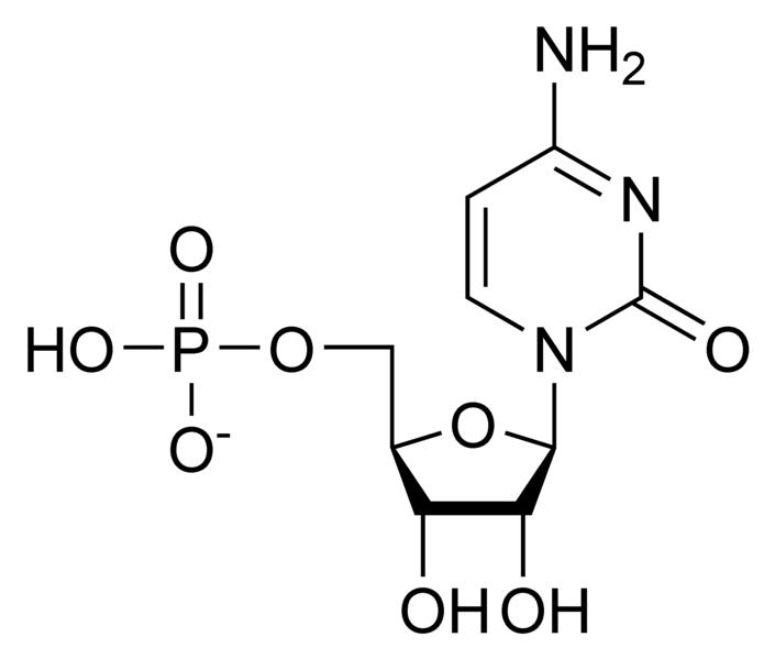 Chemical structure of cytidine monophosphate