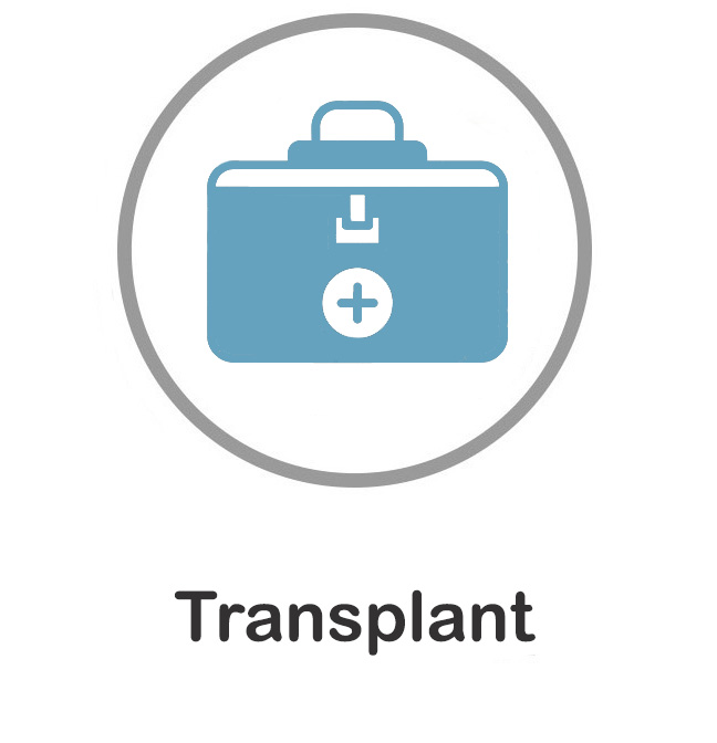 File:Transplant medicine.jpg