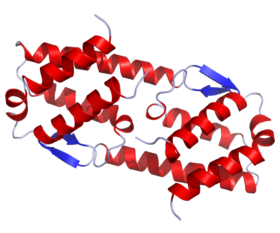 IL5 Crystal Structure.rsh.png