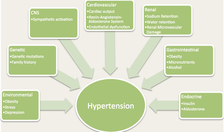 Pathogenesis of Essential Hypertension. Adapted from Oparil S, Zaman MA, Calhoun DA. Pathogenesis of Hypertension. Ann Intern Med. 2003, 139(9):761-76