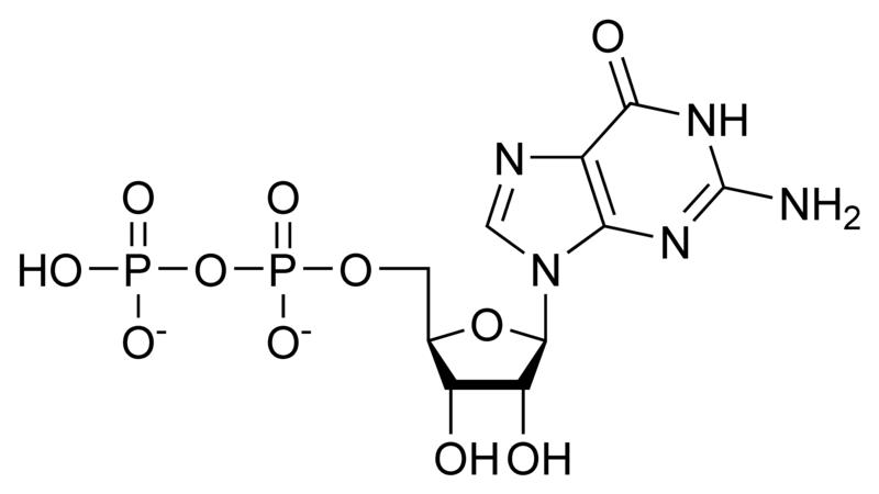 Chemical structure of guanosine diphosphate