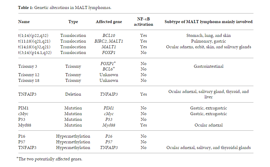 File:Genetics MALT lymphoma pathophysiology.PNG