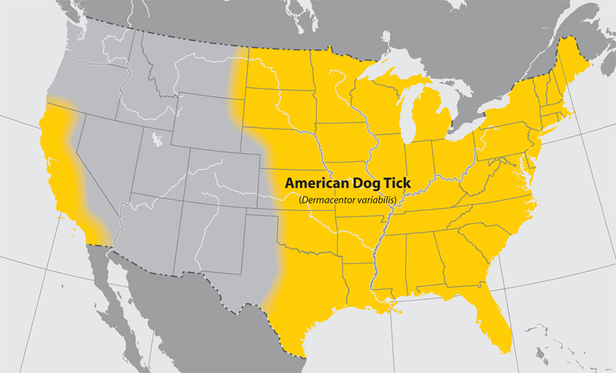 Approximate distribution of the American Dog tick Adapted from CDC