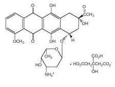 File:DAUNOXOME - daunorubicin citrate injection, lipid complex pic01.jpg