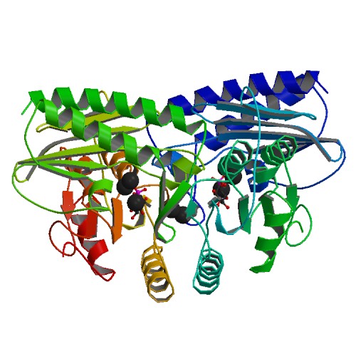 File:PBB Protein IMPA1 image.jpg