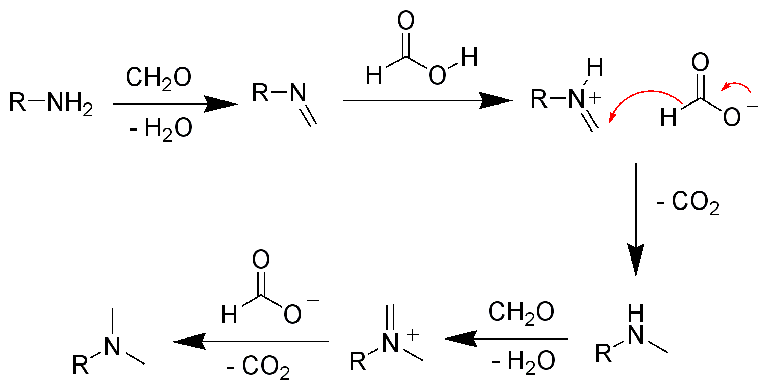The mechanism of the Eschweiler-Clark reaction