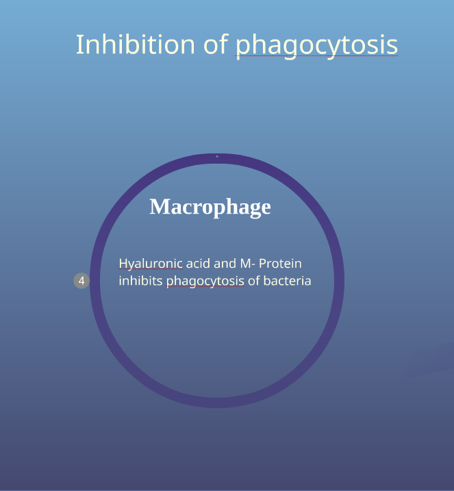 Inhibition of phagocytosis