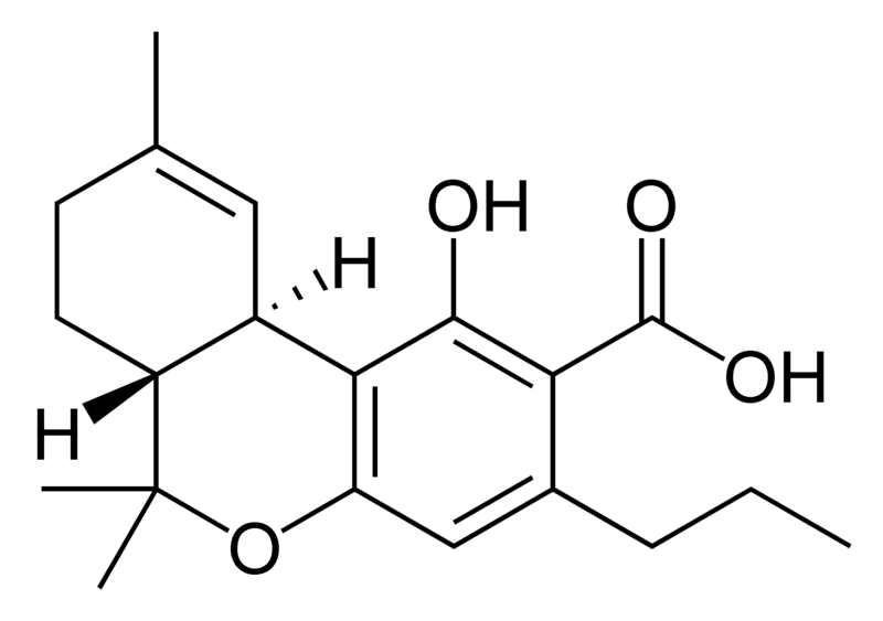 Chemical structure of delta-9-tetrahydrocannabivarinic acid A.
