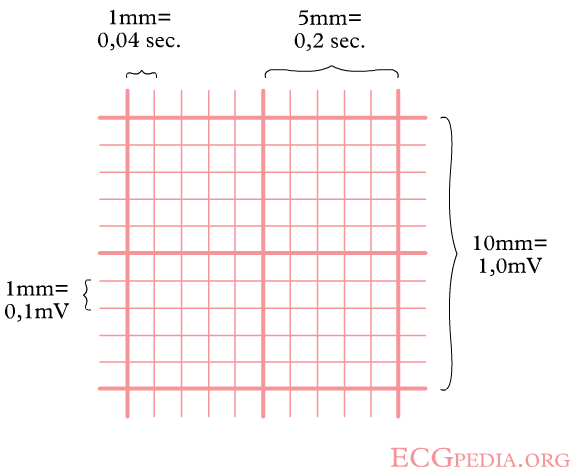 One small square in ECG is equivalent to 0.04 seconds and one large square is equivalent to 0.2 seconds