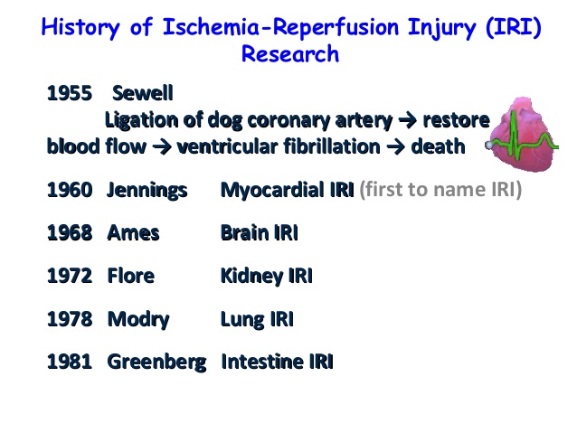 File:Reperfusion Injury History.jpg