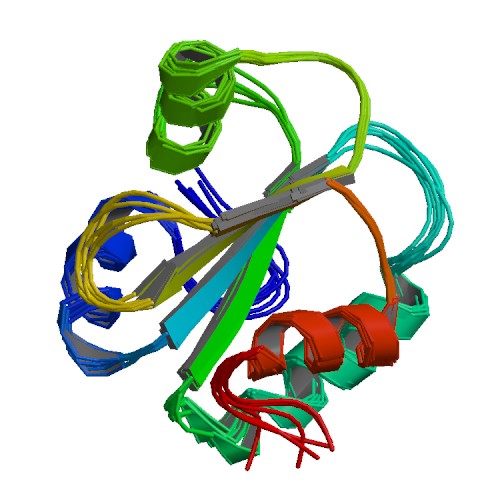 PBB Protein ERP29 image.jpg