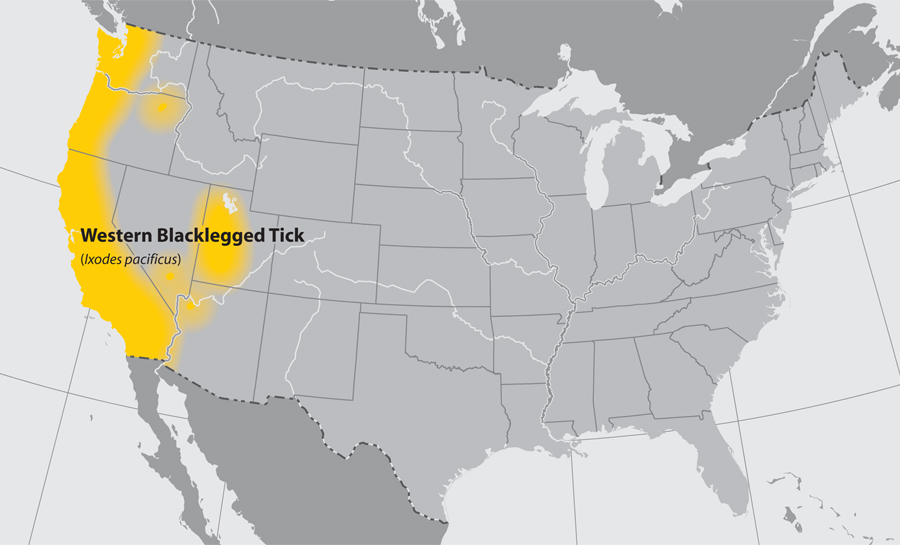Approximate distribution of the Western Blacklegged tick Adapted from CDC