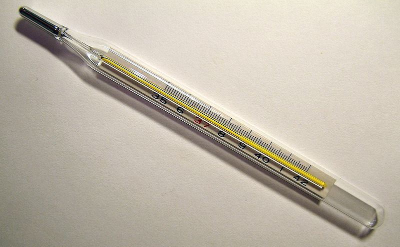 Clinical thermometer 38.7.JPG